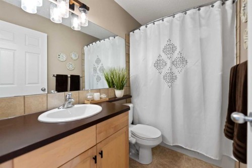 247 Copperfield Heights Se, Calgary, AB - Indoor Photo Showing Bathroom