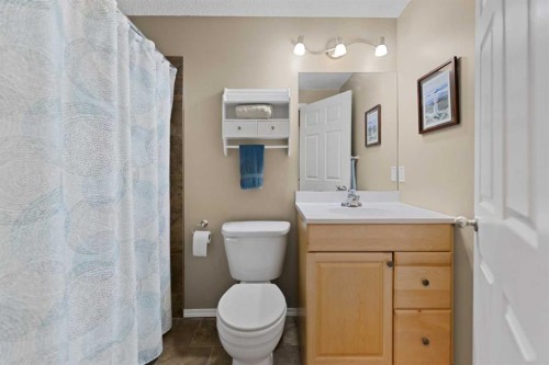 247 Copperfield Heights Se, Calgary, AB - Indoor Photo Showing Bathroom