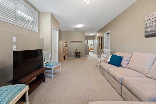 247 Copperfield Heights Se, Calgary, AB - Indoor