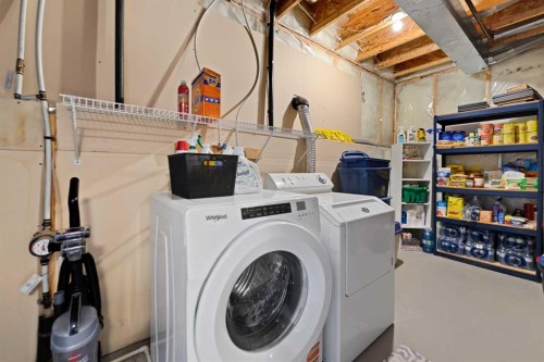247 Copperfield Heights Se, Calgary, AB - Indoor Photo Showing Laundry Room