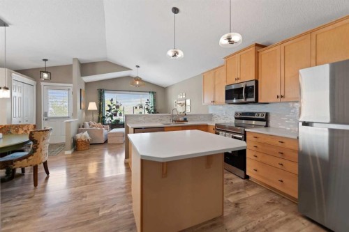 247 Copperfield Heights Se, Calgary, AB - Indoor Photo Showing Kitchen With Stainless Steel Kitchen With Upgraded Kitchen