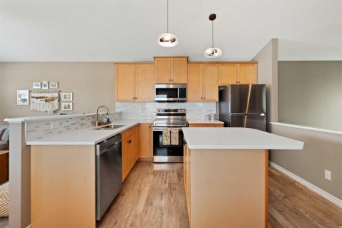 247 Copperfield Heights Se, Calgary, AB - Indoor Photo Showing Kitchen With Stainless Steel Kitchen With Upgraded Kitchen