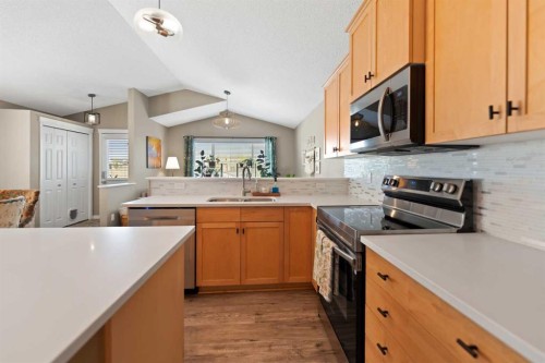 247 Copperfield Heights Se, Calgary, AB - Indoor Photo Showing Kitchen With Double Sink
