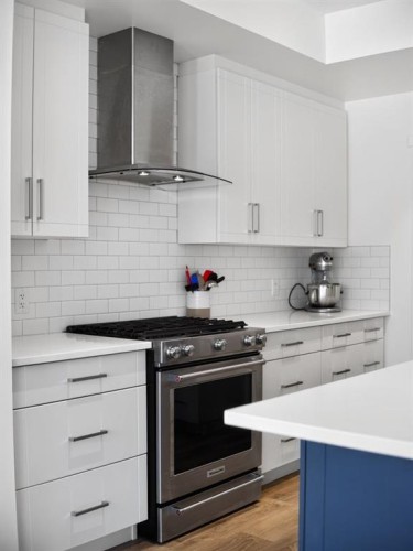 228 Masters Crescent Se, Calgary, AB - Indoor Photo Showing Kitchen With Upgraded Kitchen