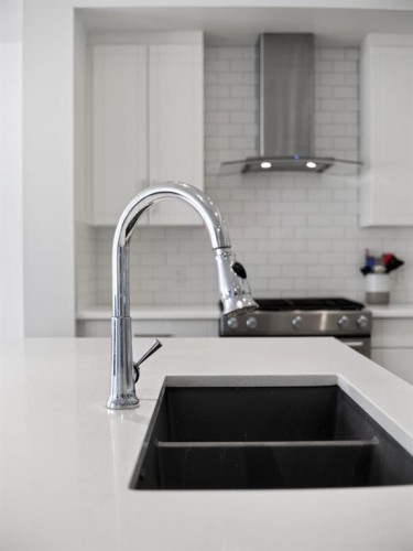 228 Masters Crescent Se, Calgary, AB - Indoor Photo Showing Kitchen With Double Sink