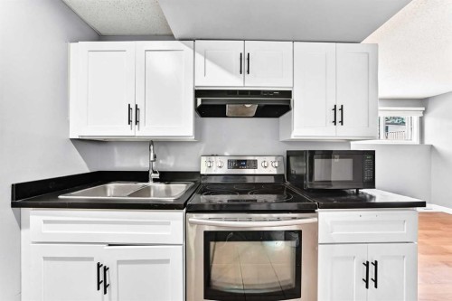 514 Whitehill Place Ne, Calgary, AB - Indoor Photo Showing Kitchen With Double Sink