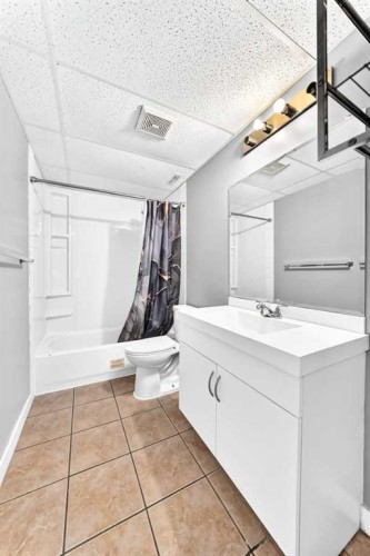 514 Whitehill Place Ne, Calgary, AB - Indoor Photo Showing Bathroom