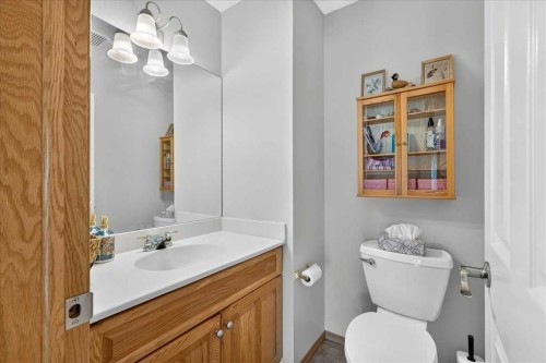 23 Cranfield Crescent Se, Calgary, AB - Indoor Photo Showing Bathroom