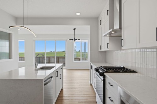 212 Lewiston Landing Ne, Calgary, AB - Indoor Photo Showing Kitchen With Double Sink With Upgraded Kitchen