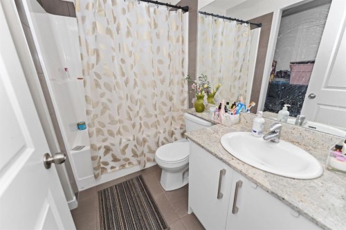 114-300 Marina Drive, Chestermere, AB - Indoor Photo Showing Bathroom