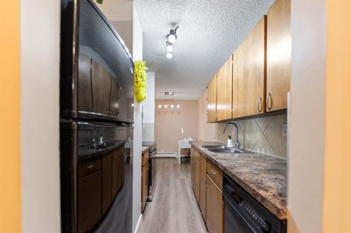 4-1607 26 Avenue Sw, Calgary, AB - Indoor Photo Showing Kitchen With Double Sink