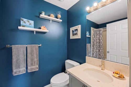 354 West Creek Springs, Chestermere, AB - Indoor Photo Showing Bathroom