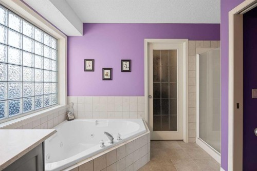 354 West Creek Springs, Chestermere, AB - Indoor Photo Showing Bathroom