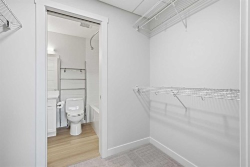 1410-81 Arbour Lake View Nw, Calgary, AB - Indoor With Storage