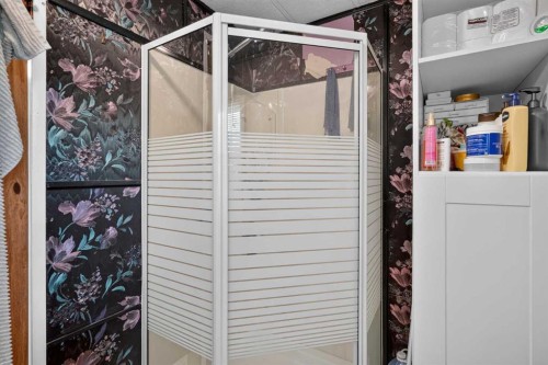 913 Spring Haven Court Se, Airdrie, AB - Indoor With Storage