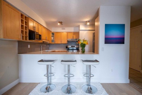 605-1900 25A Street Sw, Calgary, AB - Indoor Photo Showing Kitchen