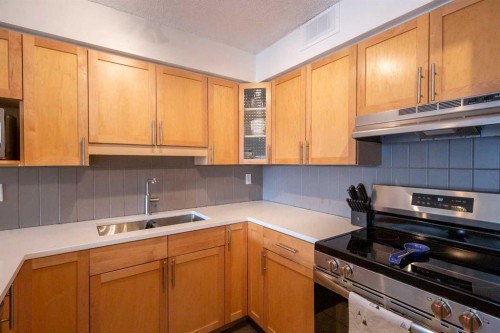 605-1900 25A Street Sw, Calgary, AB - Indoor Photo Showing Kitchen With Double Sink