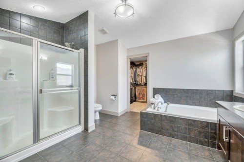 101 Hawkmere Place, Chestermere, AB - Indoor Photo Showing Bathroom