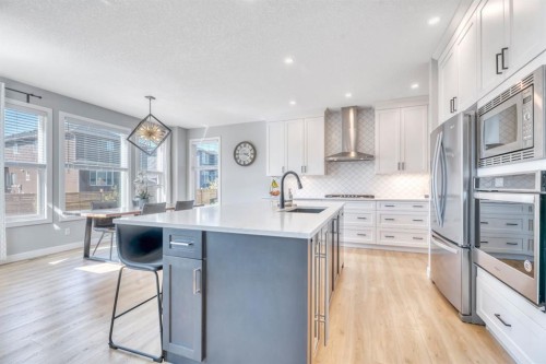 303 Dawson Harbour Court, Chestermere, AB - Indoor Photo Showing Kitchen With Stainless Steel Kitchen With Upgraded Kitchen
