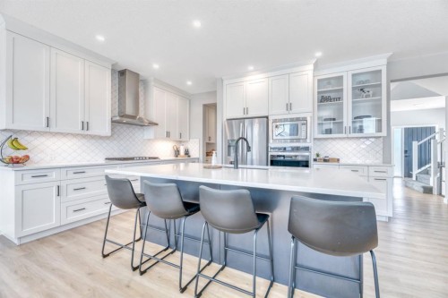 303 Dawson Harbour Court, Chestermere, AB - Indoor Photo Showing Kitchen With Stainless Steel Kitchen With Upgraded Kitchen