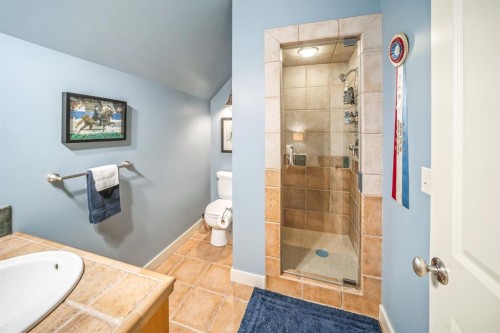 27 Snowberry Gate, Rural Rocky View County, AB - Indoor Photo Showing Bathroom