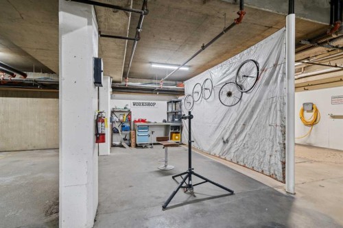 4203-24 Hemlock Crescent Sw, Calgary, AB - Indoor Photo Showing Garage
