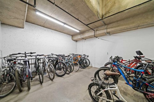 4203-24 Hemlock Crescent Sw, Calgary, AB - Indoor Photo Showing Garage