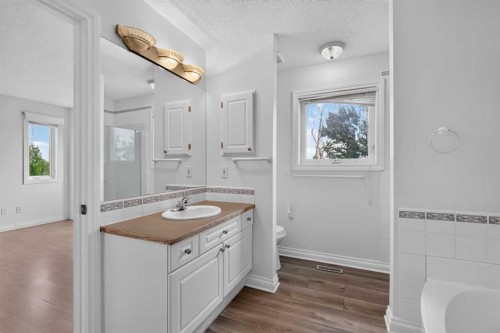 126 Bridlewood Way Sw, Calgary, AB - Indoor Photo Showing Bathroom