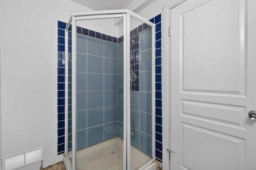 126 Bridlewood Way Sw, Calgary, AB - Indoor Photo Showing Bathroom