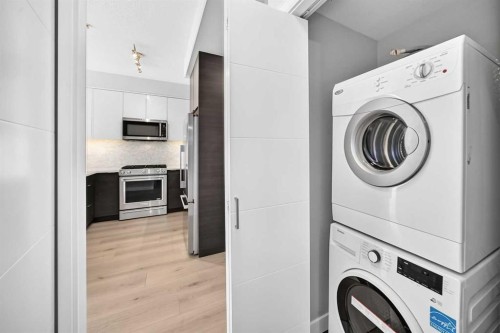 1210-95 Burma Star Road Sw, Calgary, AB - Indoor Photo Showing Laundry Room