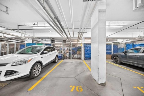 1210-95 Burma Star Road Sw, Calgary, AB - Indoor Photo Showing Garage