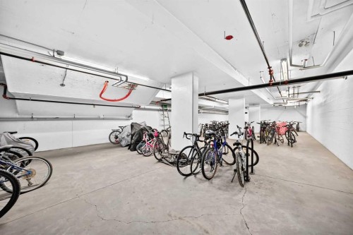 1210-95 Burma Star Road Sw, Calgary, AB - Indoor Photo Showing Garage