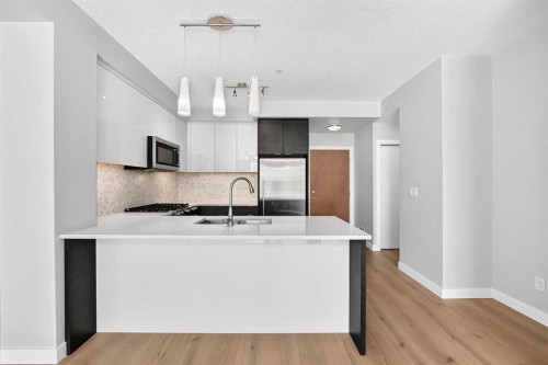 1210-95 Burma Star Road Sw, Calgary, AB - Indoor Photo Showing Kitchen With Upgraded Kitchen