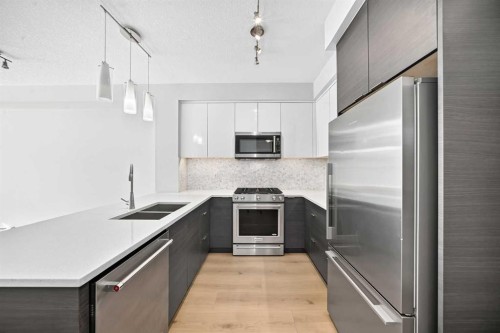 1210-95 Burma Star Road Sw, Calgary, AB - Indoor Photo Showing Kitchen With Stainless Steel Kitchen With Double Sink With Upgraded Kitchen