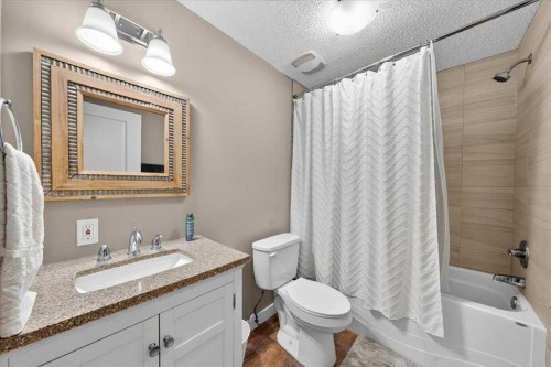 251 Hillcrest Circle Sw, Airdrie, AB - Indoor Photo Showing Bathroom