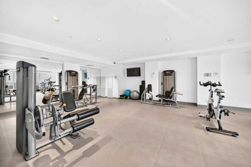 218-615 6 Avenue Se, Calgary, AB - Indoor Photo Showing Gym Room