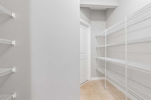 172 Brightoncrest Point Se, Calgary, AB - Indoor With Storage