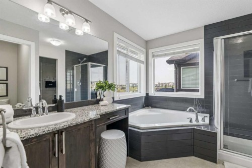 172 Brightoncrest Point Se, Calgary, AB - Indoor Photo Showing Bathroom