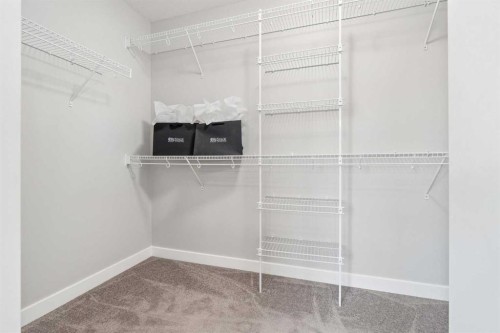 172 Brightoncrest Point Se, Calgary, AB - Indoor With Storage