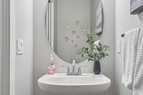172 Brightoncrest Point Se, Calgary, AB - Indoor Photo Showing Bathroom