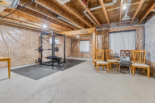 172 Brightoncrest Point Se, Calgary, AB - Indoor Photo Showing Basement