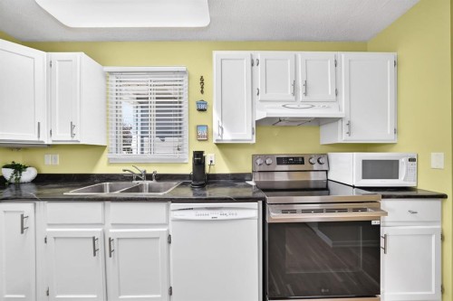 91 Templehill Drive Ne, Calgary, AB - Indoor Photo Showing Kitchen With Double Sink