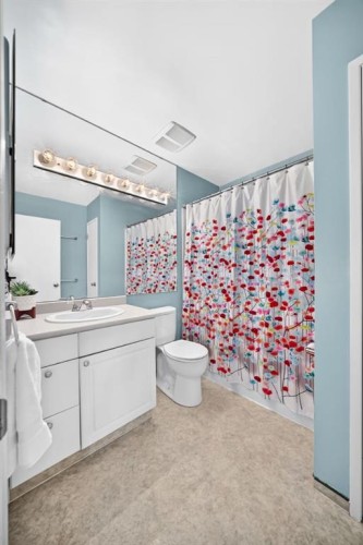 91 Templehill Drive Ne, Calgary, AB - Indoor Photo Showing Bathroom