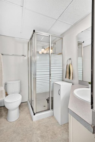 91 Templehill Drive Ne, Calgary, AB - Indoor Photo Showing Bathroom