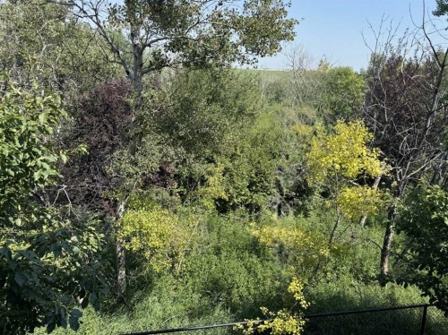 60 New Brighton Point Se, Calgary, AB - Outdoor