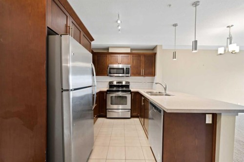 205-20 Royal Oak Plaza Nw, Calgary, AB - Indoor Photo Showing Kitchen With Stainless Steel Kitchen With Double Sink With Upgraded Kitchen