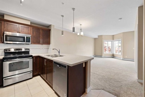 205-20 Royal Oak Plaza Nw, Calgary, AB - Indoor Photo Showing Kitchen With Stainless Steel Kitchen With Double Sink