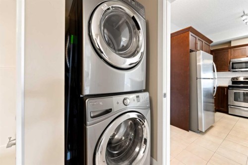 205-20 Royal Oak Plaza Nw, Calgary, AB - Indoor Photo Showing Laundry Room