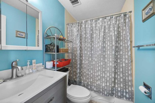 272 Huntington Close Ne, Calgary, AB - Indoor Photo Showing Bathroom