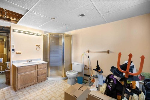 272 Huntington Close Ne, Calgary, AB - Indoor Photo Showing Bathroom